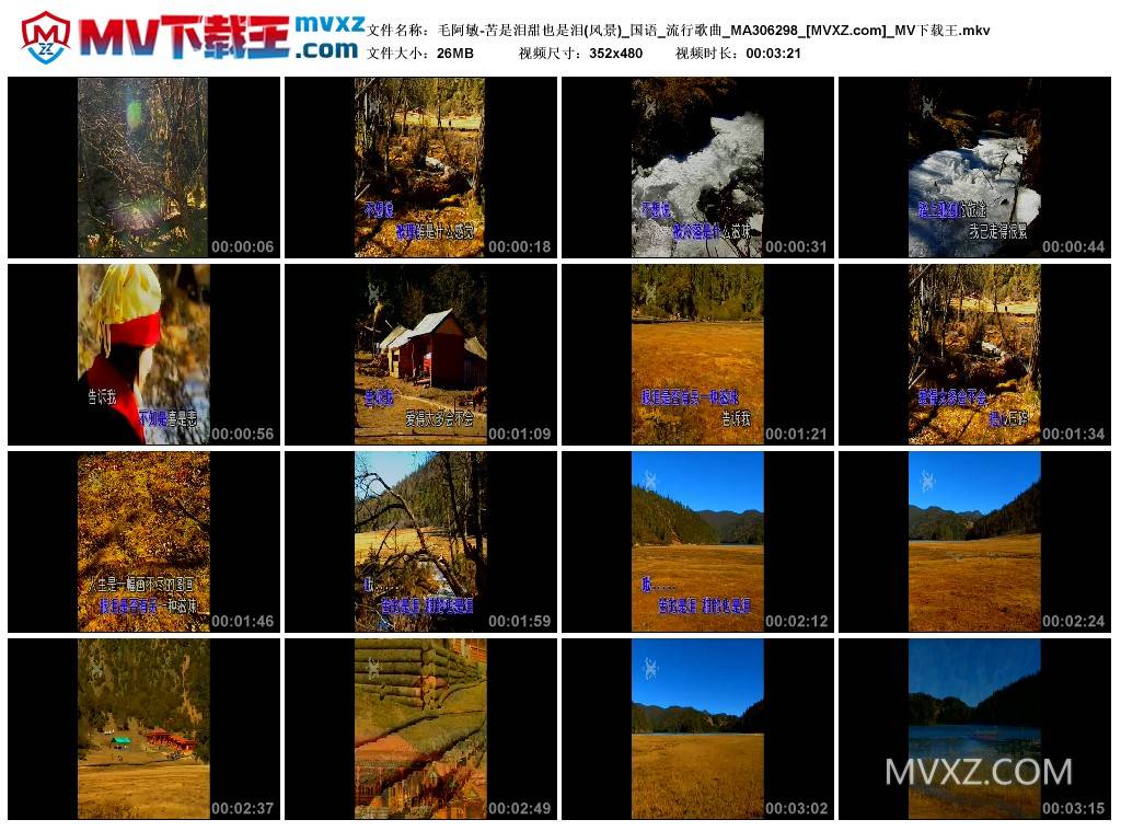 毛阿敏-苦是泪甜也是泪(风景)_国语_流行歌曲_MA306298